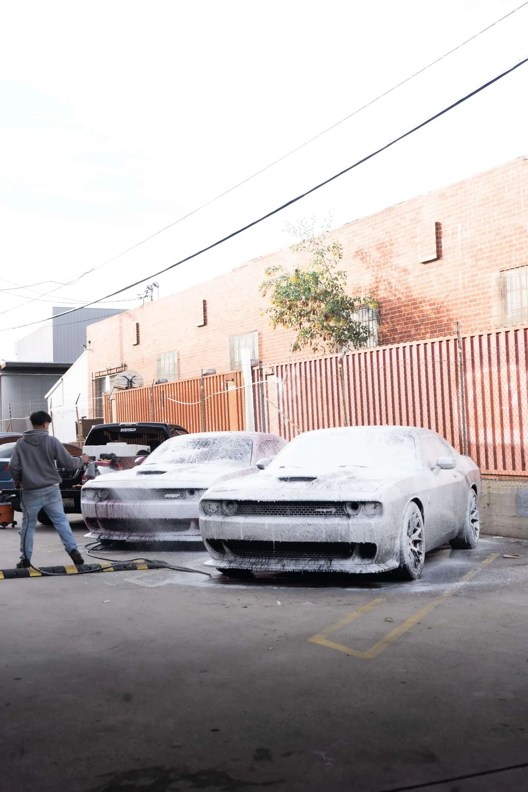 Auto detailing